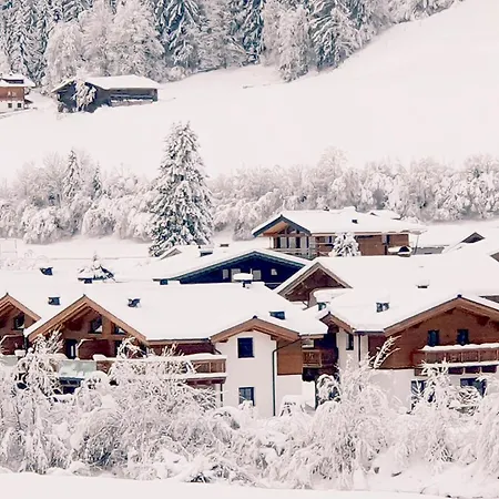 Felsener Wald Wald im Pinzgau