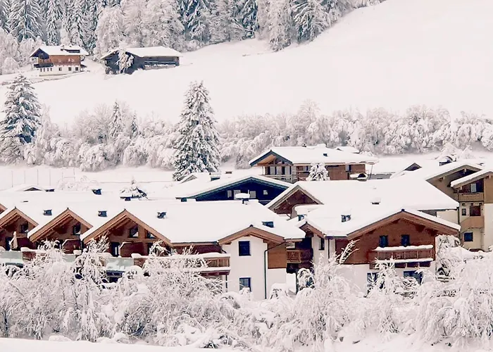 Felsener Wald Wald im Pinzgau
